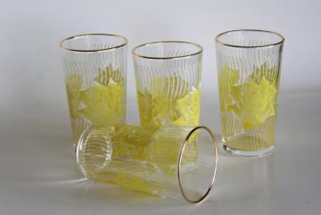 catalog photo of mid-century mod vintage drinking glasses, printed glass tumblers w/ yellow roses