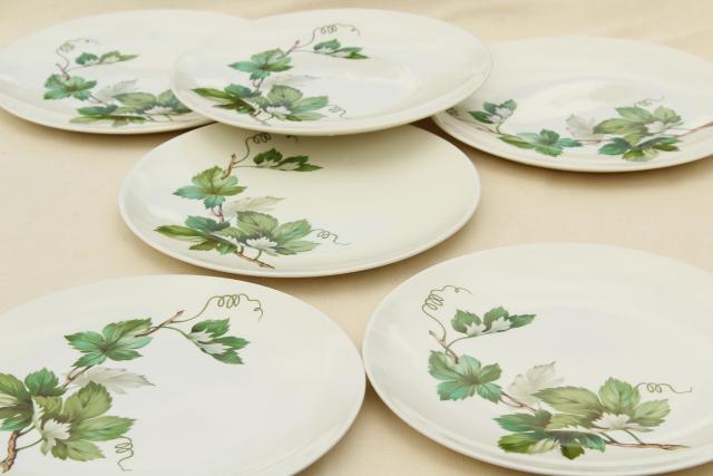 photo of mid-century vintage Knowles china Grapevine dinner plates, green leaf leaves pattern #1