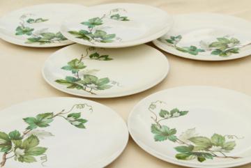 catalog photo of mid-century vintage Knowles china Grapevine dinner plates, green leaf leaves pattern