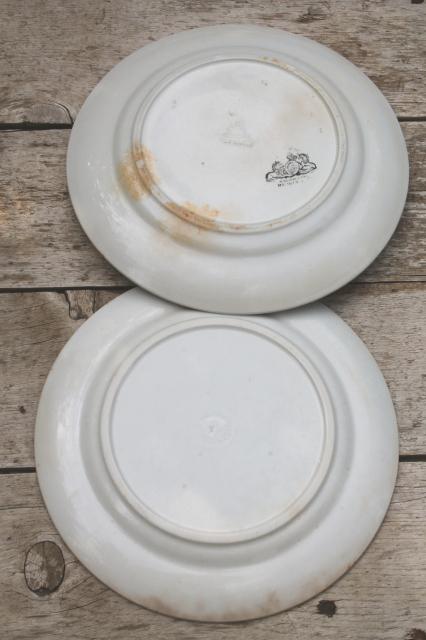 photo of mismatched antique 1860s - 1880s vintage ironstone china dinner plates w/ embossed borders #6