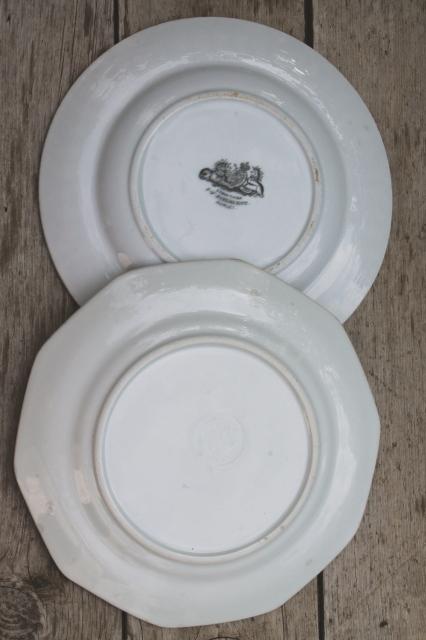 photo of mismatched antique 1860s - 1880s vintage ironstone china dinner plates w/ embossed borders #11