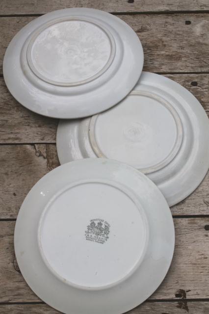 photo of mismatched antique 1860s - 1880s vintage ironstone china dinner plates w/ embossed borders #20