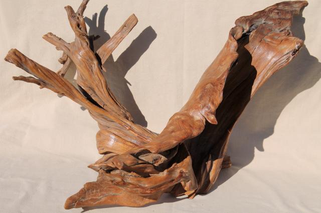 photo of natural driftwood w/ large interesting shapes, bent twisted wood pieces for art display #1