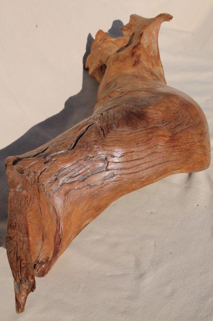 photo of natural driftwood w/ large interesting shapes, bent twisted wood pieces for art display #5