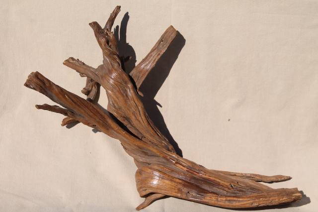 photo of natural driftwood w/ large interesting shapes, bent twisted wood pieces for art display #9