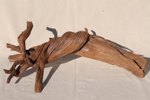 photo of natural driftwood w/ large interesting shapes, bent twisted wood pieces for art display #10