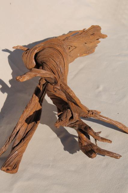 photo of natural driftwood w/ large interesting shapes, bent twisted wood pieces for art display #11