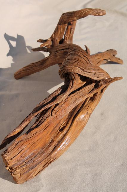 photo of natural driftwood w/ large interesting shapes, bent twisted wood pieces for art display #12