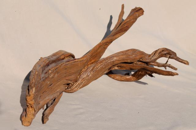 photo of natural driftwood w/ large interesting shapes, bent twisted wood pieces for art display #13