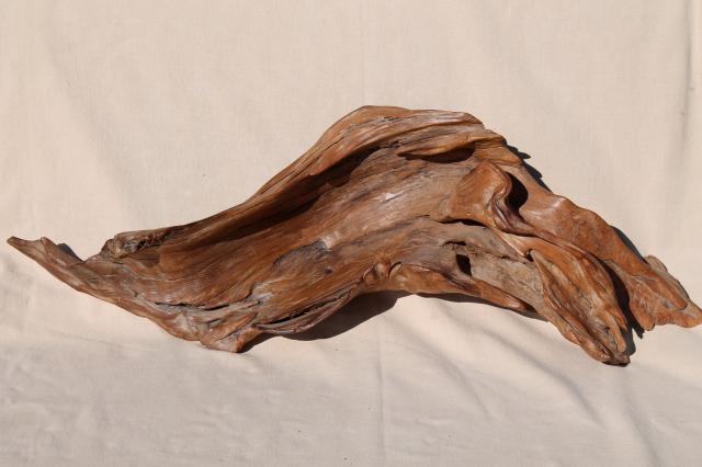 photo of natural driftwood w/ large interesting shapes, bent twisted wood pieces for art display #14