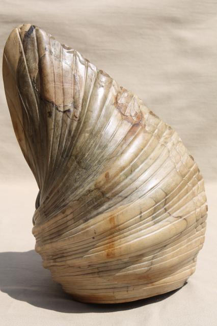 photo of natural wood carving seashell sculpture, large hand carved beach sea shell #8