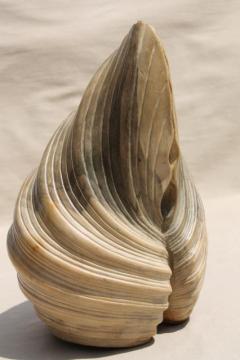 catalog photo of natural wood carving seashell sculpture, large hand carved beach sea shell