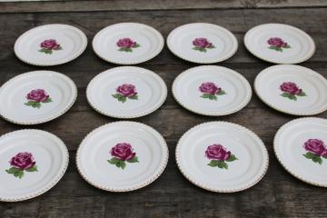catalog photo of never used set of 12 small plates vintage Harker china single rose w/ gold trimmed gadroon edge 