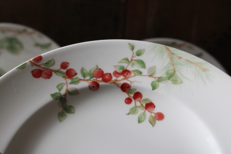 photo of never used set of 6 Lenox Winter Garden luncheon salad plates Royal Fig with Wintergreen pattern #4