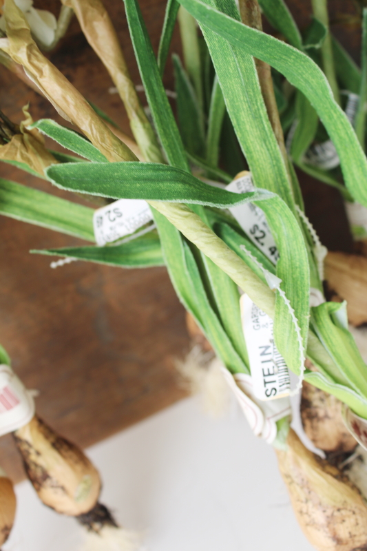 photo of new w/ tags faux flowers very realistic forcing bulbs narcissus jonquils or paper whites  #3