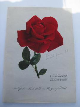 catalog photo of old 1950s Wards ''Garden Book'' catalog, full color litho illustrations