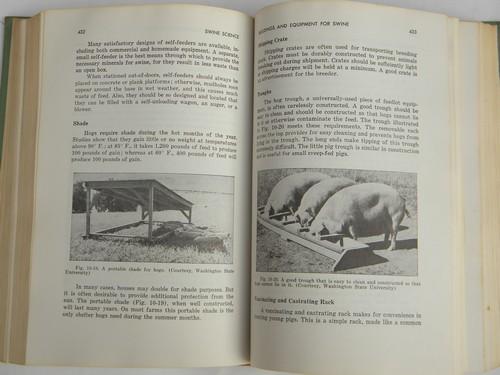 photo of old 1970 agricultural livestock book, raising swine, hogs & pigs, farm library #4