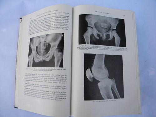 photo of old 50s vintage medical book Gray's Anatomy Human Body color engravings #3
