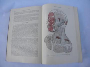 catalog photo of old 50s vintage medical book Gray's Anatomy Human Body color engravings