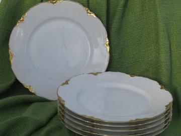 catalog photo of old Bavaria china plates, pure white porcelain w/ gold ribbon border