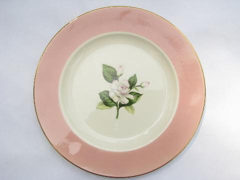 photo of old Homer Laughlin/Alliance dinner plates, Glenwood floral pink band #2