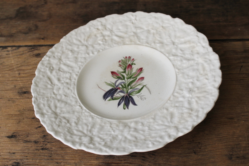 photo of old Royal Cauldon Bristol Ironstone plate crazed stained china embossed border w/ botanical floral print  #1