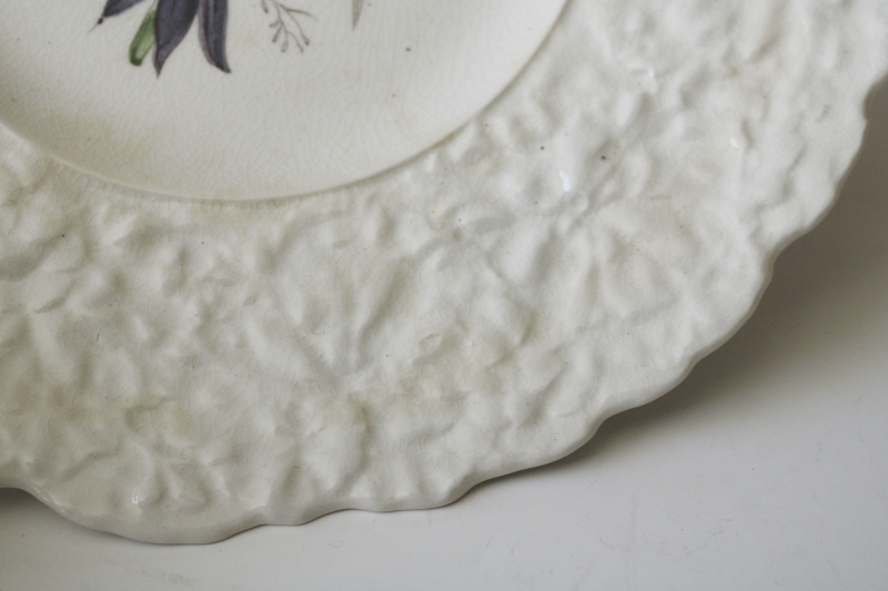 photo of old Royal Cauldon Bristol Ironstone plate crazed stained china embossed border w/ botanical floral print  #3
