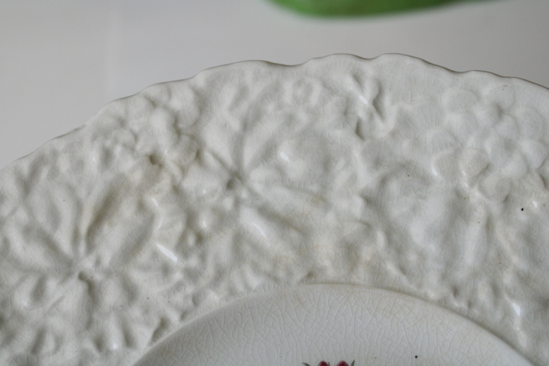 photo of old Royal Cauldon Bristol Ironstone plate crazed stained china embossed border w/ botanical floral print  #4