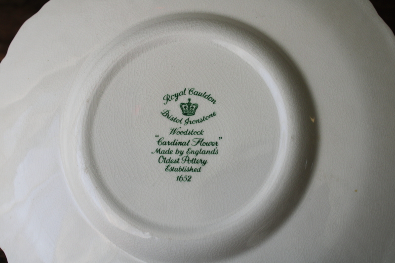 photo of old Royal Cauldon Bristol Ironstone plate crazed stained china embossed border w/ botanical floral print  #5