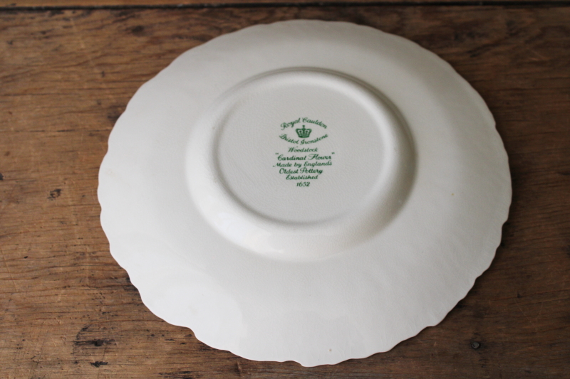 photo of old Royal Cauldon Bristol Ironstone plate crazed stained china embossed border w/ botanical floral print  #6