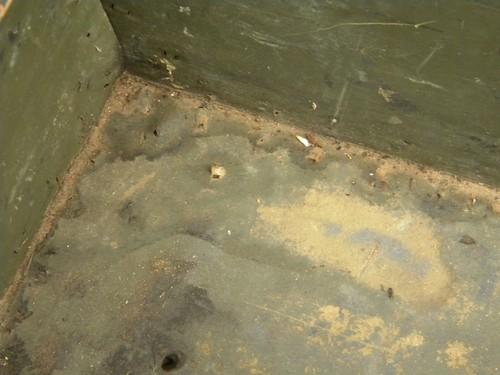 photo of old WWII vintage olive drab US Army foot locker trunk or chest #4