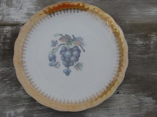 photo of old antique D E McNichol East Liverpool Ohio china plate w/ grapes #1
