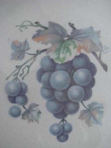 photo of old antique D E McNichol East Liverpool Ohio china plate w/ grapes #4