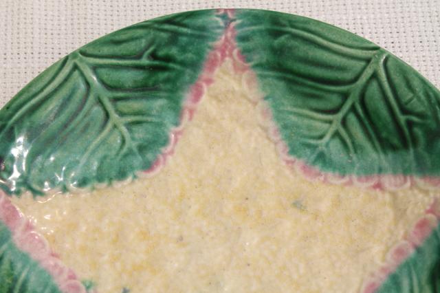 photo of old antique Etrustcan majolica pottery plate w/ cauliflower vegetable Victorian vintage #3