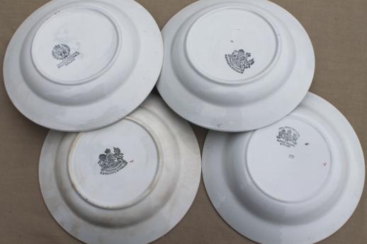 photo of old antique Tea Leaf ironstone china, large soup bowls & bread / sandwich plates #7