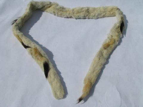 photo of old antique Victorian vintage ermine fur collar & tippet, black tails on white #4