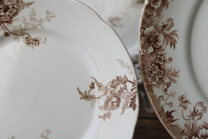 photo of old antique brown transferware china plates lot mismatched floral patterns white ironstone  #9