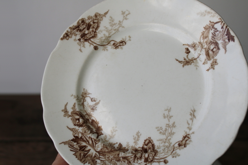 photo of old antique brown transferware china plates lot mismatched floral patterns white ironstone  #14