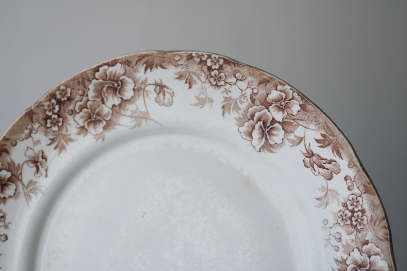 photo of old antique brown transferware china plates lot mismatched floral patterns white ironstone  #15