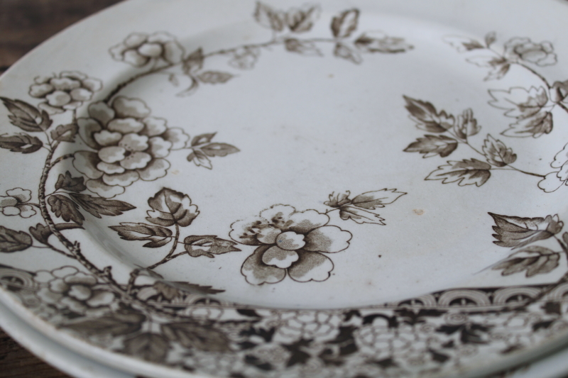 photo of old antique brown transferware china plates lot mismatched floral patterns white ironstone  #16