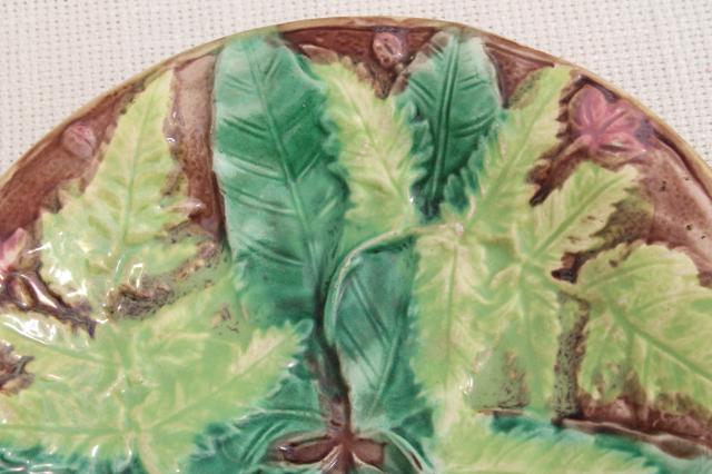 photo of old antique fern pattern majolica pottery plate, green ferns Victorian vintage #3