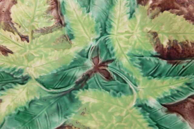 photo of old antique fern pattern majolica pottery plate, green ferns Victorian vintage #5