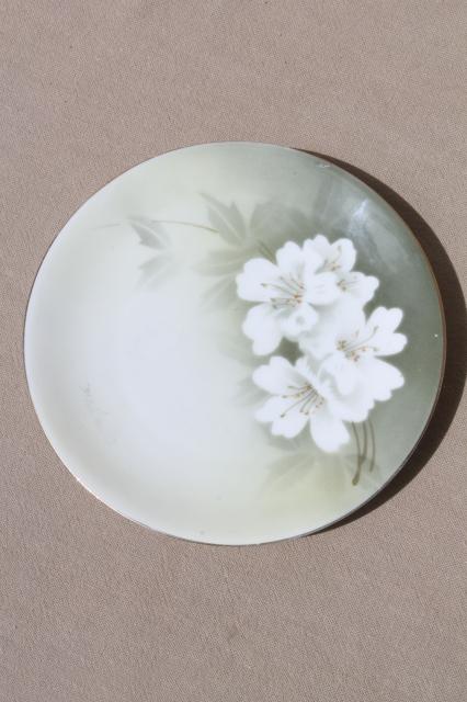 photo of old antique green & white china plates, hand-painted flowers & lilies of the valley #3