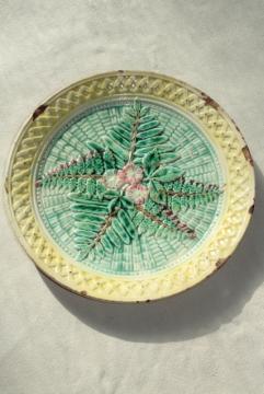 catalog photo of old antique majolica plate, ferns & flowers unknown maker faience pottery unmarked