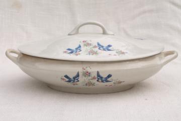 catalog photo of old antique tureen, bluebird china oval covered bowl, early 1900s vintage