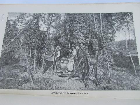 photo of old early 1888 Dept. Agriculture report/yearbook w/engravings and color litho plates #3