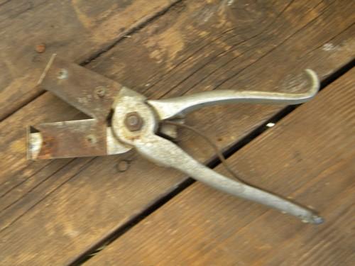 photo of old farm tool, All In One livestock / animal castrator / hog ear notcher #3