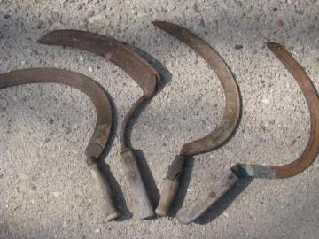 catalog photo of old farm tools lot, vintage corn knives w/ sickle cutter blade and wood handle