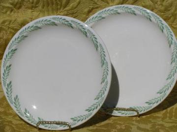 catalog photo of old fernware ironstone plates, vintage green fern edge Syracuse china