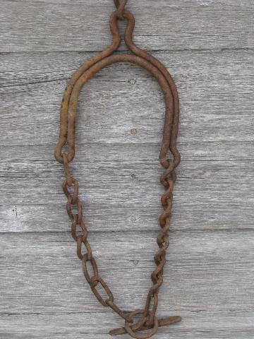 photo of old iron neck yoke chain collar, antique vintage barn stanchion tie for milk cow #2